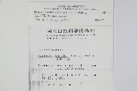 玉山石葦藏品圖，第2張