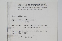 石松藏品圖，第2張