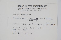 新月蕨藏品圖，第2張