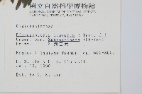 賽芒萁藏品圖，第2張