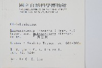 賽芒萁藏品圖，第2張