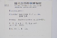 金狗毛蕨藏品圖，第2張