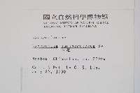 玉柏藏品圖，第2張