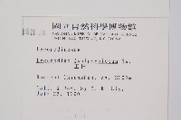玉柏藏品圖，第2張