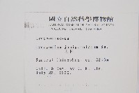 玉柏藏品圖，第2張