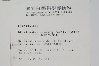 長柄粉背蕨藏品圖，第2張