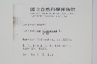 石松藏品圖，第2張