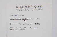 玉柏藏品圖，第2張