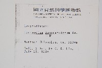 玉柏藏品圖，第2張