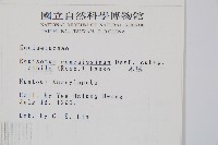 臺灣木賊藏品圖，第2張