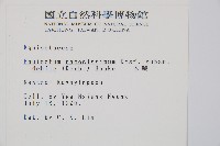 臺灣木賊藏品圖，第2張