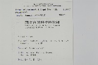 南投三叉蕨藏品圖，第2張