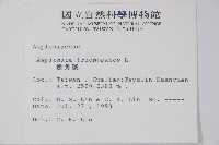 鐵角蕨藏品圖，第2張