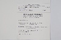小葉鐵角蕨藏品圖，第2張