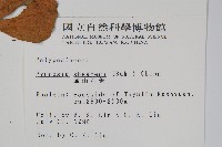 盧山石葦藏品圖，第2張