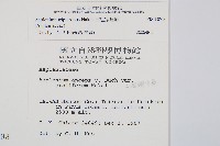 鐵角蕨藏品圖，第2張