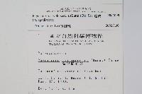 海岸擬茀蕨、海岸星蕨藏品圖，第2張