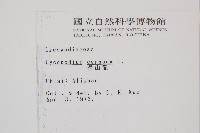 過山龍藏品圖，第2張