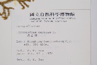 過山龍藏品圖，第2張