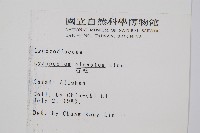 石松藏品圖，第2張