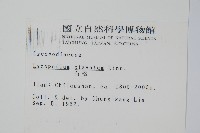 石松藏品圖，第2張