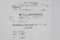 異葉卷柏藏品圖，第2張