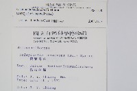 異葉卷柏藏品圖，第2張