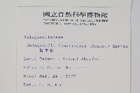 萬年松藏品圖，第2張