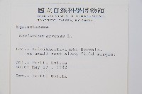 問荊藏品圖，第2張