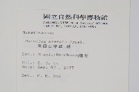 南國田字草藏品圖，第2張