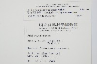 高山瓶爾小草、鈍頭瓶爾小草藏品圖，第2張