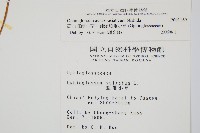 高山瓶爾小草、鈍頭瓶爾小草藏品圖，第2張