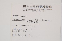 觀音座蓮藏品圖，第2張