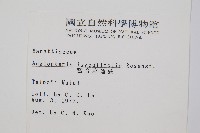 觀音座蓮藏品圖，第2張