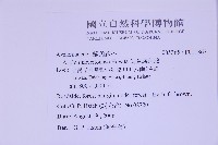 海金沙藏品圖，第2張