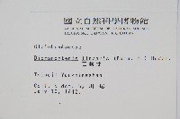 芒萁藏品圖，第2張