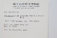 裡白藏品圖，第2張