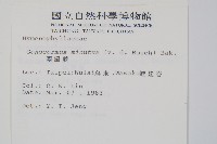 團扇蕨藏品圖，第2張