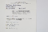 厚壁蕨藏品圖，第2張