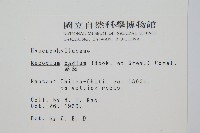 蕗蕨藏品圖，第2張