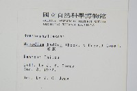 蕗蕨藏品圖，第2張