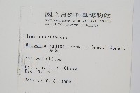 蕗蕨藏品圖，第2張