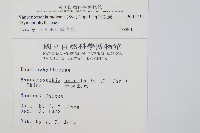 南海瓶蕨藏品圖，第2張