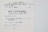 熱帶瓶蕨藏品圖，第2張