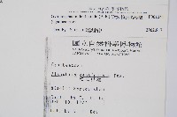 韓氏黑桫欏藏品圖，第2張