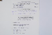 台灣黑桫欏藏品圖，第2張