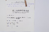 臺灣桫欏藏品圖，第2張