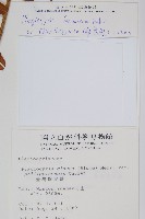 台灣瘤足蕨藏品圖，第2張