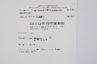 裂羽崇澍蕨藏品圖，第2張
