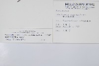 臺灣狗脊蕨藏品圖，第2張